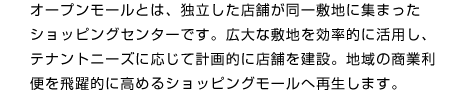 オープンモールとは、独立した店舗が同一敷地に集まったショッピングセンターです。広大な敷地を効率的に活用し、テナントニーズに応じて計画的に店舗を建設。地域の商業利便を飛躍的に高めるショッピングモールへ再生します。