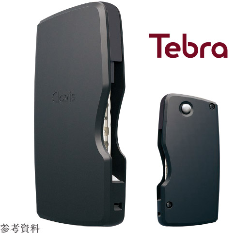 Tebra 参考資料