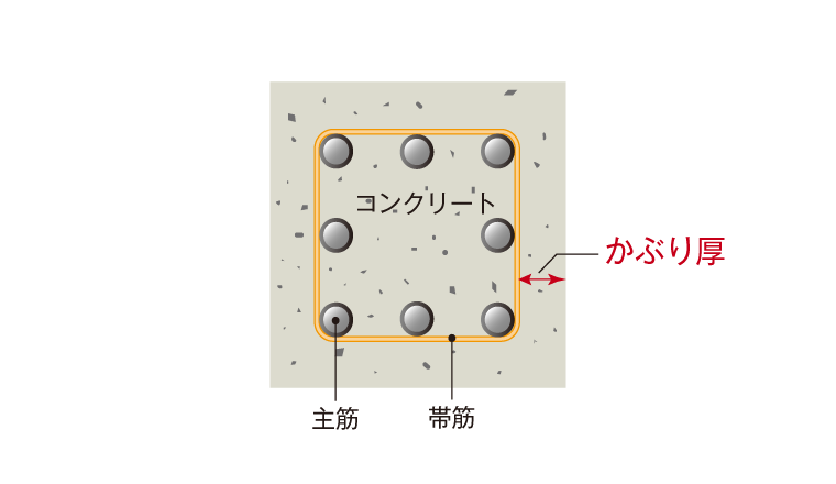 かぶり厚