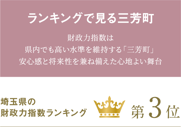 ランキングで見る三好町