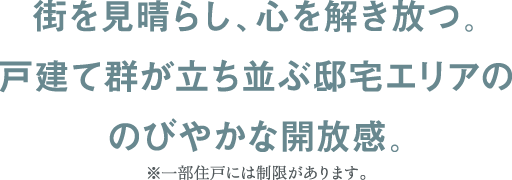 街を見晴らし、心を解き放つ